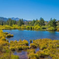 Fun and Relaxation in a Mountain Vacation Getaway!