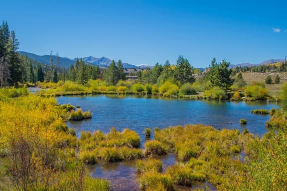 Fun and Relaxation in a Mountain Vacation Getaway!